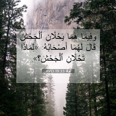 Picture 07 - لُوقا 19:33 AVD - وَفِيمَا هُمَا يَحُلَّانِ - Bible Verse Picture