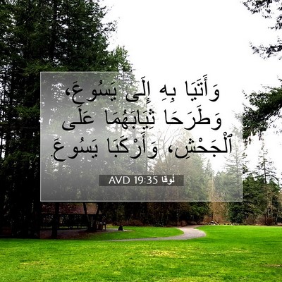 Picture 07 - لُوقا 19:35 AVD - وَأَتَيَا بِهِ إِلَى - Bible Verse Picture