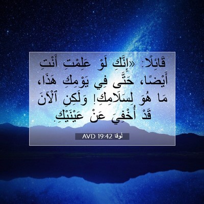 Picture 07 - لُوقا 19:42 AVD - قَائِلًا: «إِنَّكِ لَوْ - Bible Verse Picture