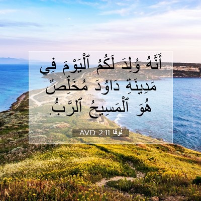 Picture 07 - لُوقا 2:11 AVD - أَنَّهُ وُلِدَ لَكُمُ - Bible Verse Picture