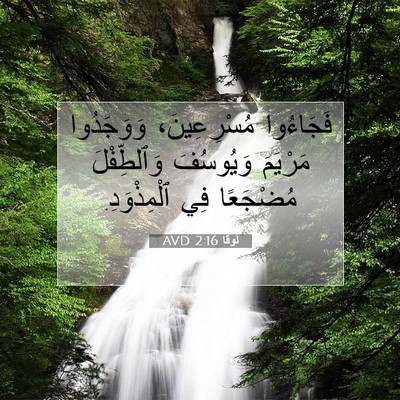 Picture 07 - لُوقا 2:16 AVD - فَجَاءُوا مُسْرِعِينَ، - Bible Verse Picture