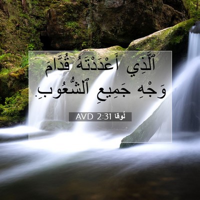 Picture 07 - لُوقا 2:31 AVD - ٱلَّذِي أَعْدَدْتَهُ - Bible Verse Picture