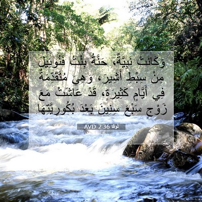 Picture 07 - لُوقا 2:36 AVD - وَكَانَتْ نَبِيَّةٌ، - Bible Verse Picture
