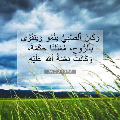 Picture 07 - لُوقا 2:40 AVD - وَكَانَ ٱلصَّبِيُّ - Bible Verse Picture