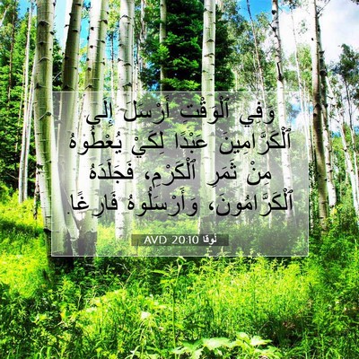 Picture 07 - لُوقا 20:10 AVD - وَفِي ٱلْوَقْتِ أَرْسَلَ - Bible Verse Picture