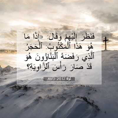 Picture 07 - لُوقا 20:17 AVD - فَنَظَرَ إِلَيْهِمْ - Bible Verse Picture