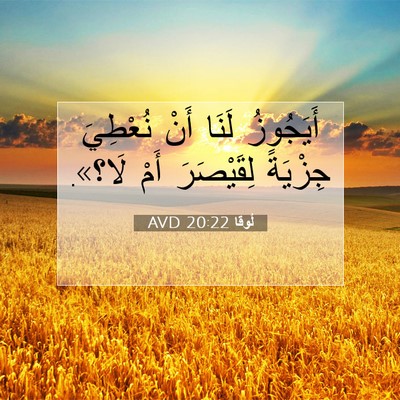 Picture 07 - لُوقا 20:22 AVD - أَيَجُوزُ لَنَا أَنْ - Bible Verse Picture