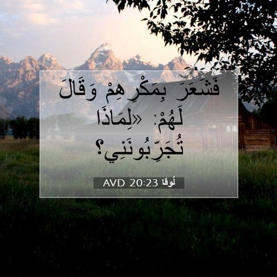 Picture 07 - لُوقا 20:23 AVD - فَشَعَرَ بِمَكْرِهِمْ - Bible Verse Picture