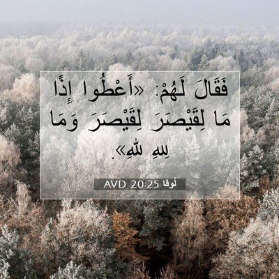 Picture 07 - لُوقا 20:25 AVD - فَقَالَ لَهُمْ: «أَعْطُوا - Bible Verse Picture