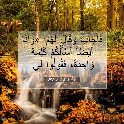 Picture 07 - لُوقا 20:3 AVD - فَأَجَابَ وَقَالَ لَهُمْ: - Bible Verse Picture