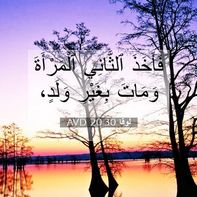 Picture 07 - لُوقا 20:30 AVD - فَأَخَذَ ٱلثَّانِي - Bible Verse Picture
