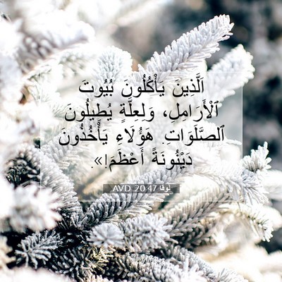 Picture 07 - لُوقا 20:47 AVD - اَلَّذِينَ يَأْكُلُونَ - Bible Verse Picture