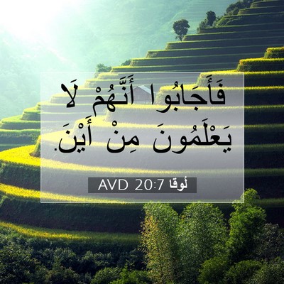 Picture 07 - لُوقا 20:7 AVD - فَأَجَابُوا أَنَّهُمْ لَا - Bible Verse Picture