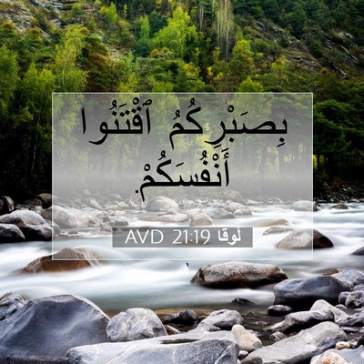 Picture 07 - لُوقا 21:19 AVD - بِصَبْرِكُمُ ٱقْتَنُوا - Bible Verse Picture