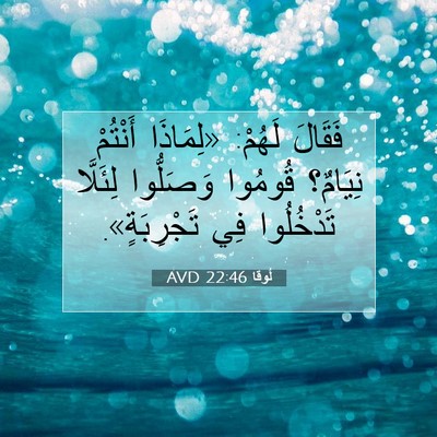 Picture 07 - لُوقا 22:46 AVD - فَقَالَ لَهُمْ: «لِمَاذَا - Bible Verse Picture