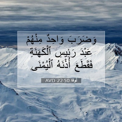 Picture 07 - لُوقا 22:50 AVD - وَضَرَبَ وَاحِدٌ مِنْهُمْ - Bible Verse Picture