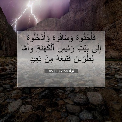Picture 07 - لُوقا 22:54 AVD - فَأَخَذُوهُ وَسَاقُوهُ - Bible Verse Picture
