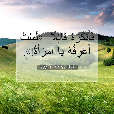 Picture 07 - لُوقا 22:57 AVD - فَأَنْكَرَهُ قَائِلًا: - Bible Verse Picture