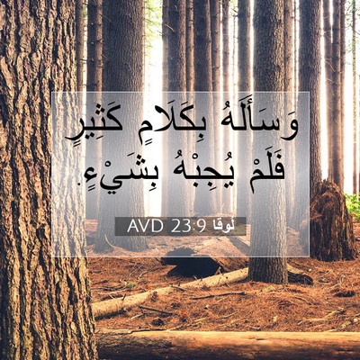 Picture 07 - لُوقا 23:9 AVD - وَسَأَلَهُ بِكَلَامٍ - Bible Verse Picture