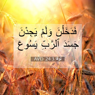 Picture 07 - لُوقا 24:3 AVD - فَدَخَلْنَ وَلَمْ - Bible Verse Picture
