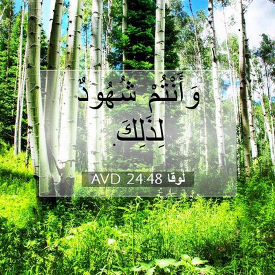 Picture 07 - لُوقا 24:48 AVD - وَأَنْتُمْ شُهُودٌ - Bible Verse Picture