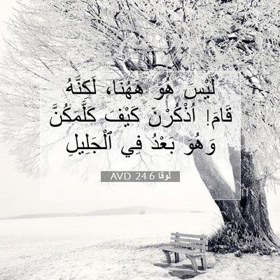 Picture 07 - لُوقا 24:6 AVD - لَيْسَ هُوَ هَهُنَا، - Bible Verse Picture