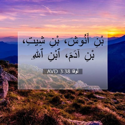 Picture 07 - لُوقا 3:38 AVD - بْنِ أَنُوشَ، بْنِ شِيتِ، - Bible Verse Picture