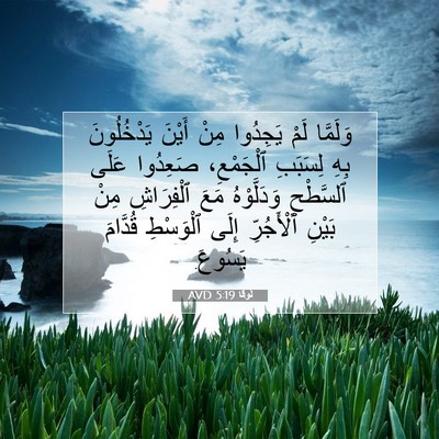 Picture 07 - لُوقا 5:19 AVD - وَلَمَّا لَمْ يَجِدُوا - Bible Verse Picture