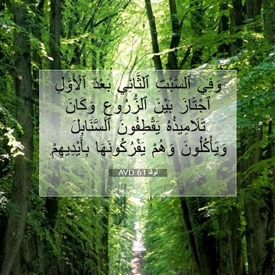 Picture 07 - لُوقا 6:1 AVD - وَفِي ٱلسَّبْتِ ٱلثَّانِي - Bible Verse Picture