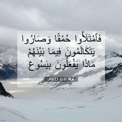 Picture 07 - لُوقا 6:11 AVD - فَٱمْتَلَأُوا حُمْقًا - Bible Verse Picture