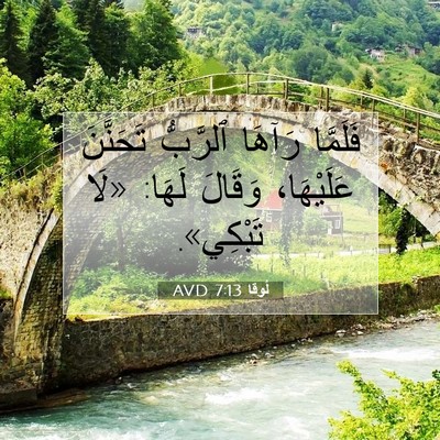Picture 07 - لُوقا 7:13 AVD - فَلَمَّا رَآهَا ٱلرَّبُّ - Bible Verse Picture