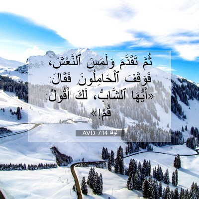Picture 07 - لُوقا 7:14 AVD - ثُمَّ تَقَدَّمَ وَلَمَسَ - Bible Verse Picture
