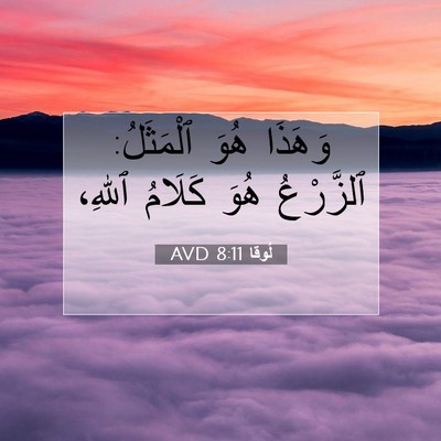 Picture 07 - لُوقا 8:11 AVD - وَهَذَا هُوَ ٱلْمَثَلُ: - Bible Verse Picture