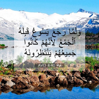 Picture 07 - لُوقا 8:40 AVD - وَلَمَّا رَجَعَ يَسُوعُ - Bible Verse Picture