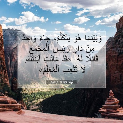 Picture 07 - لُوقا 8:49 AVD - وَبَيْنَمَا هُوَ - Bible Verse Picture