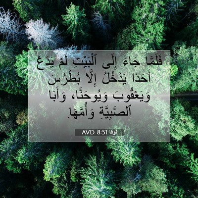 Picture 07 - لُوقا 8:51 AVD - فَلَمَّا جَاءَ إِلَى - Bible Verse Picture