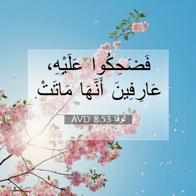 Picture 07 - لُوقا 8:53 AVD - فَضَحِكُوا عَلَيْهِ، - Bible Verse Picture