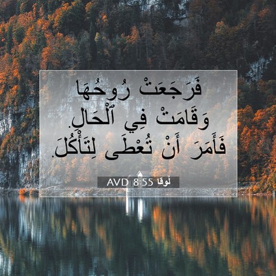 Picture 07 - لُوقا 8:55 AVD - فَرَجَعَتْ رُوحُهَا - Bible Verse Picture