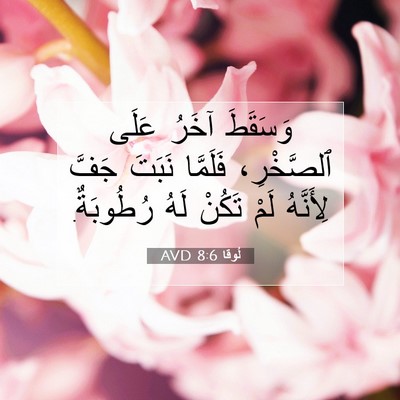 Picture 07 - لُوقا 8:6 AVD - وَسَقَطَ آخَرُ عَلَى - Bible Verse Picture
