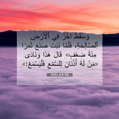 Picture 07 - لُوقا 8:8 AVD - وَسَقَطَ آخَرُ فِي - Bible Verse Picture