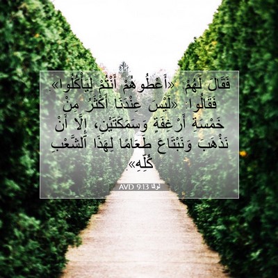 Picture 07 - لُوقا 9:13 AVD - فَقَالَ لَهُمْ: - Bible Verse Picture