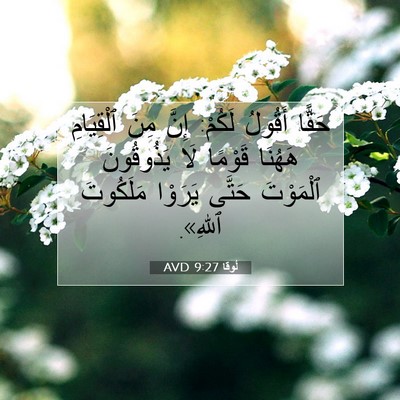 Picture 07 - لُوقا 9:27 AVD - حَقًّا أَقُولُ لَكُمْ: - Bible Verse Picture