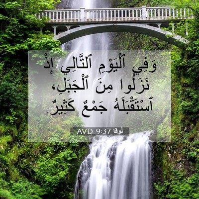 Picture 07 - لُوقا 9:37 AVD - وَفِي ٱلْيَوْمِ ٱلتَّالِي - Bible Verse Picture