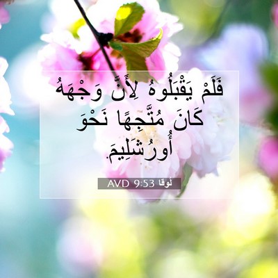 Picture 07 - لُوقا 9:53 AVD - فَلَمْ يَقْبَلُوهُ - Bible Verse Picture