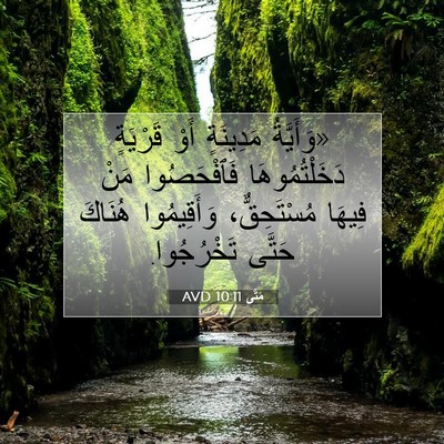 Picture 07 - مَتَّى 10:11 AVD - «وَأَيَّةُ مَدِينَةٍ أَوْ - Bible Verse Picture