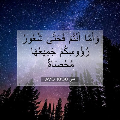 Picture 07 - مَتَّى 10:30 AVD - وَأَمَّا أَنْتُمْ - Bible Verse Picture