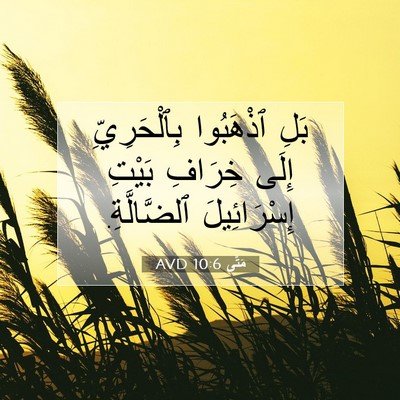 Picture 07 - مَتَّى 10:6 AVD - بَلِ ٱذْهَبُوا - Bible Verse Picture