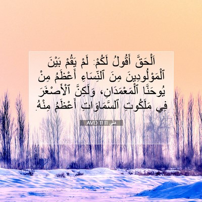 Picture 07 - مَتَّى 11:11 AVD - اَلْحَقَّ أَقُولُ لَكُمْ: - Bible Verse Picture