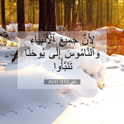 Picture 07 - مَتَّى 11:13 AVD - لِأَنَّ جَمِيعَ - Bible Verse Picture