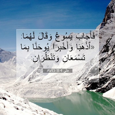 Picture 07 - مَتَّى 11:4 AVD - فَأَجَابَ يَسُوعُ وَقَالَ - Bible Verse Picture